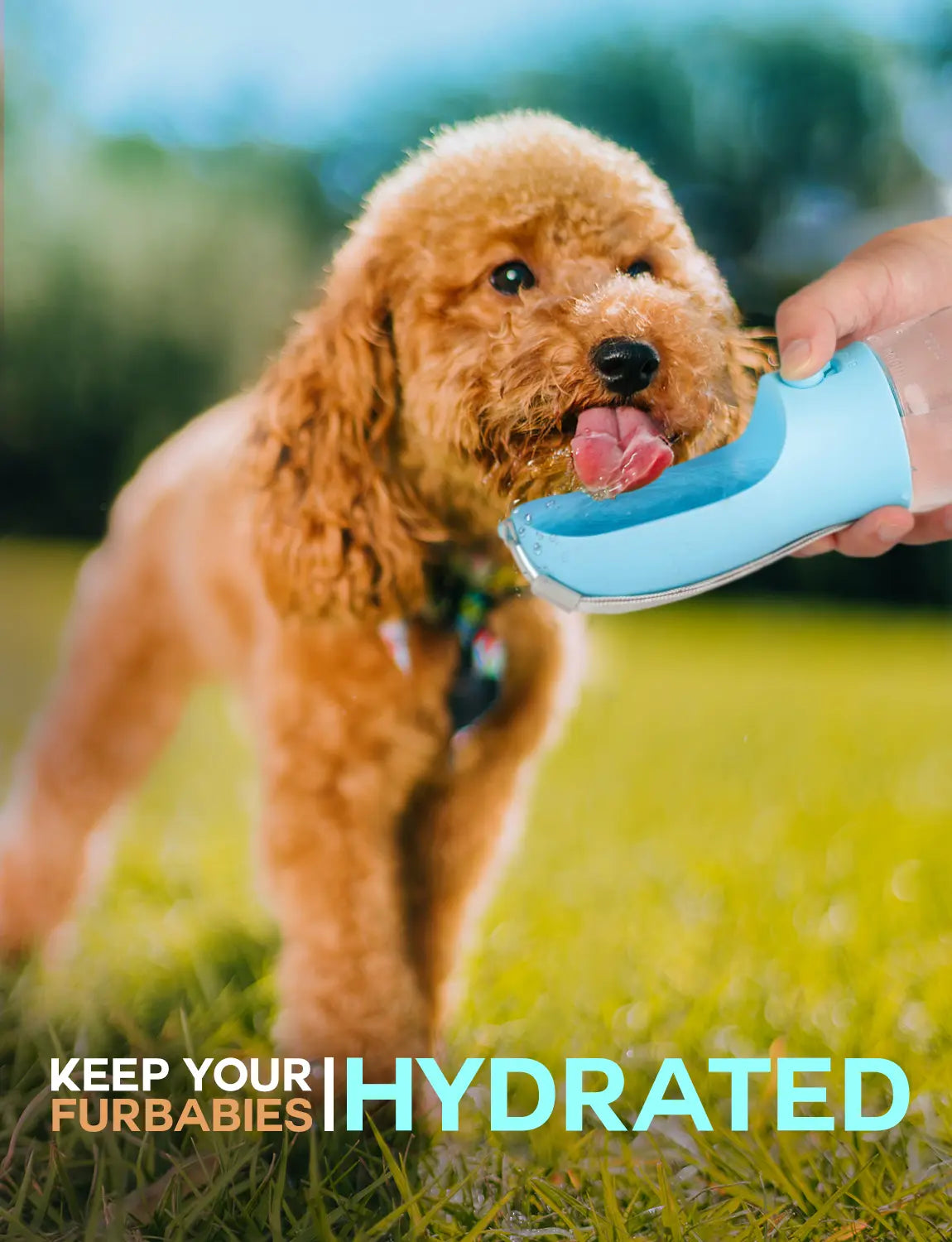 3In1 Pet Water Bottle with Built-In Filtration - 20Oz Bpa-Free Lock Seal Spill-Proof Container, Easy-To-Use, Poop Bag Dispenser, Food Storage for Travel, Hiking (Dog Feeding Supplies)