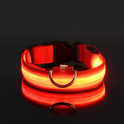 Illuminate Your Dog's Night Walks with Our Nylon LED Glow-in-the-Dark Dog Leash and Collar