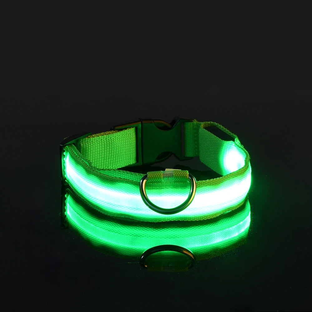 Illuminate Your Dog's Night Walks with Our Nylon LED Glow-in-the-Dark Dog Leash and Collar