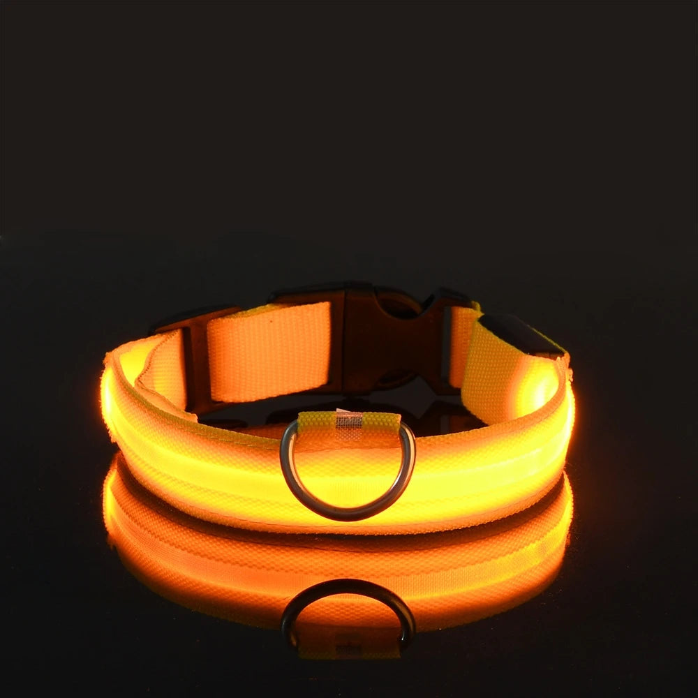 Illuminate Your Dog's Night Walks with Our Nylon LED Glow-in-the-Dark Dog Leash and Collar