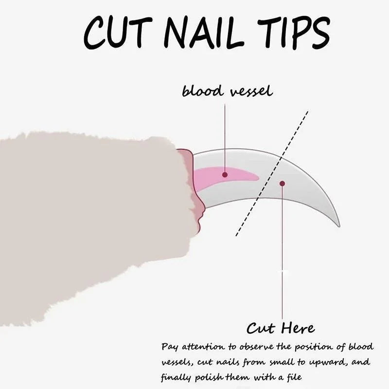 Professional Pet Nail Clippers for Dogs, Cats, and Small Animals - Safe, Sharp, and Easy to Use Grooming Tool