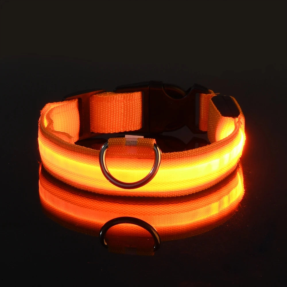 Illuminate Your Dog's Night Walks with Our Nylon LED Glow-in-the-Dark Dog Leash and Collar