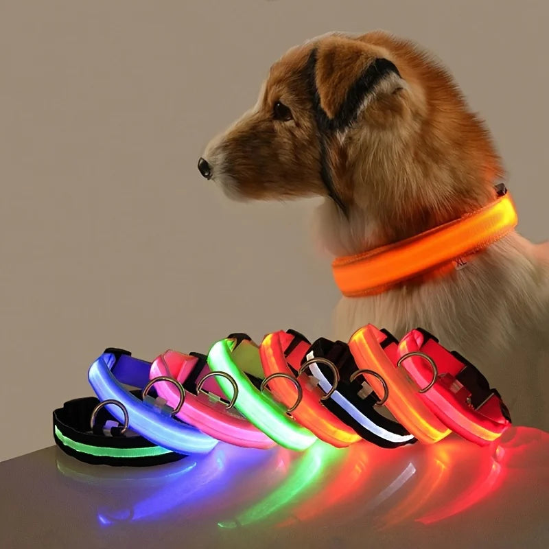 Illuminate Your Dog's Night Walks with Our Nylon LED Glow-in-the-Dark Dog Leash and Collar