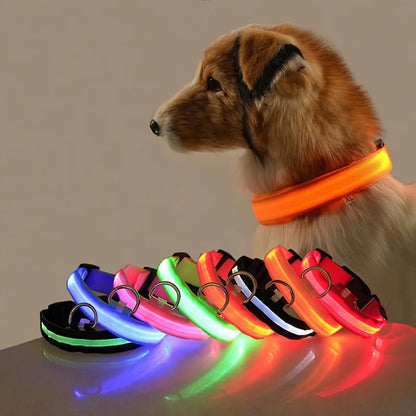 Illuminate Your Dog's Night Walks with Our Nylon LED Glow-in-the-Dark Dog Leash and Collar
