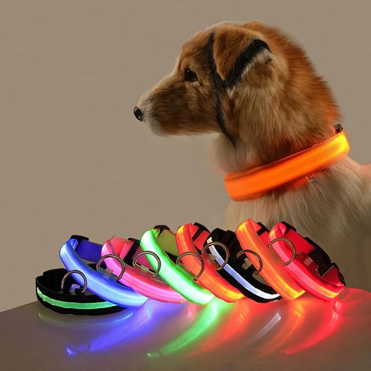 Illuminate Your Dog's Night Walks with Our Nylon LED Glow-in-the-Dark Dog Leash and Collar