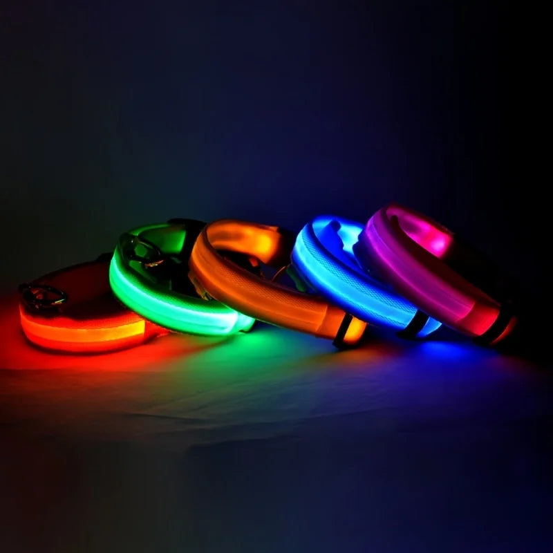 Illuminate Your Dog's Night Walks with Our Nylon LED Glow-in-the-Dark Dog Leash and Collar
