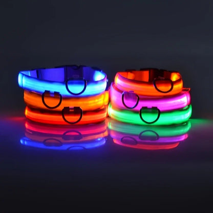 Illuminate Your Dog's Night Walks with Our Nylon LED Glow-in-the-Dark Dog Leash and Collar