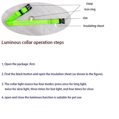 Illuminate Your Dog's Night Walks with Our Nylon LED Glow-in-the-Dark Dog Leash and Collar