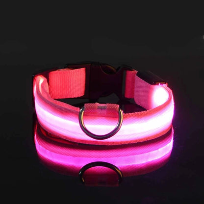 Illuminate Your Dog's Night Walks with Our Nylon LED Glow-in-the-Dark Dog Leash and Collar